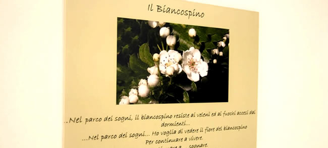 Il Biancospino